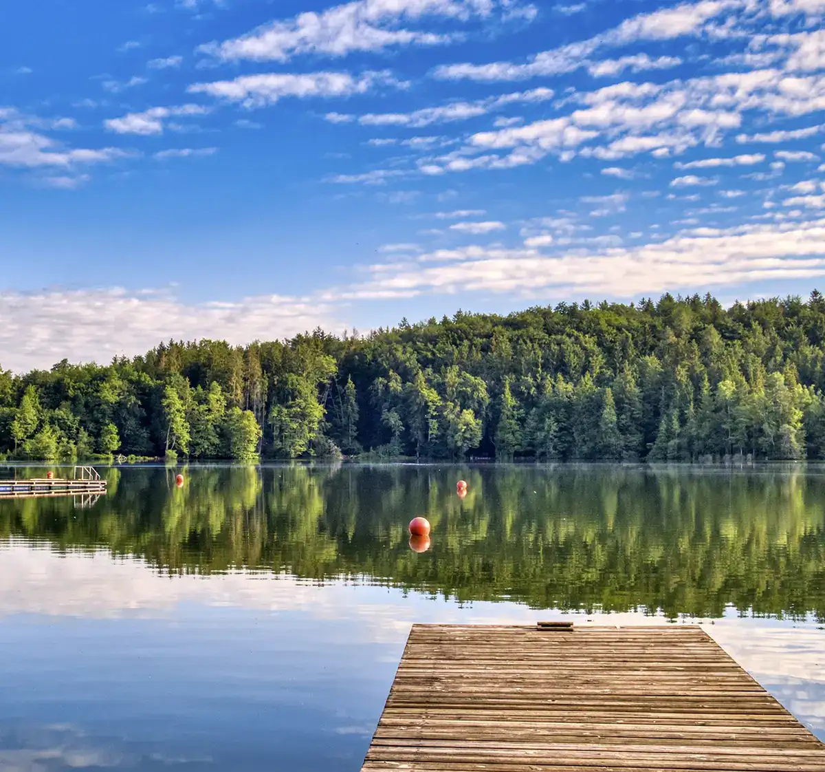 Badeseen in Frankfurt und Umgebung – Badesee
