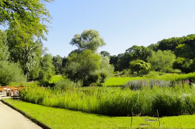Naturmuseum Senckenberg – Botanischer Garten