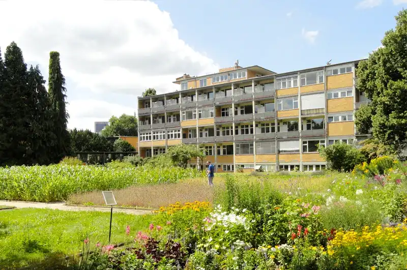 Naturmuseum Senckenberg – Botanischer Garten