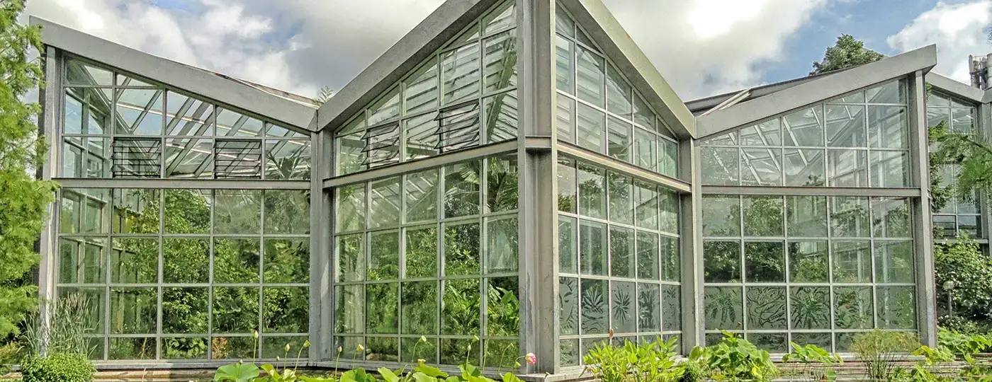 Palmengarten Frankfurt – Gewächshäuser